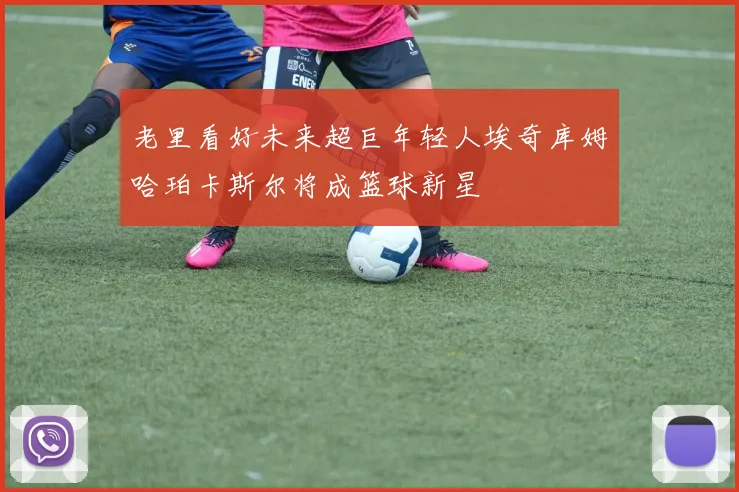 老里看好未来超巨年轻人埃奇库姆哈珀卡斯尔将成篮球新星