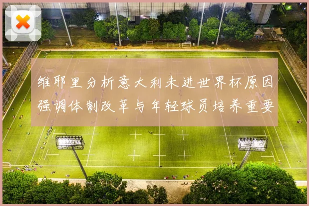 维耶里分析意大利未进世界杯原因强调体制改革与年轻球员培养重要性